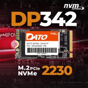 Disque SSD interne DATO DP342 1 To M.2 2242 PCIe Gen3x4