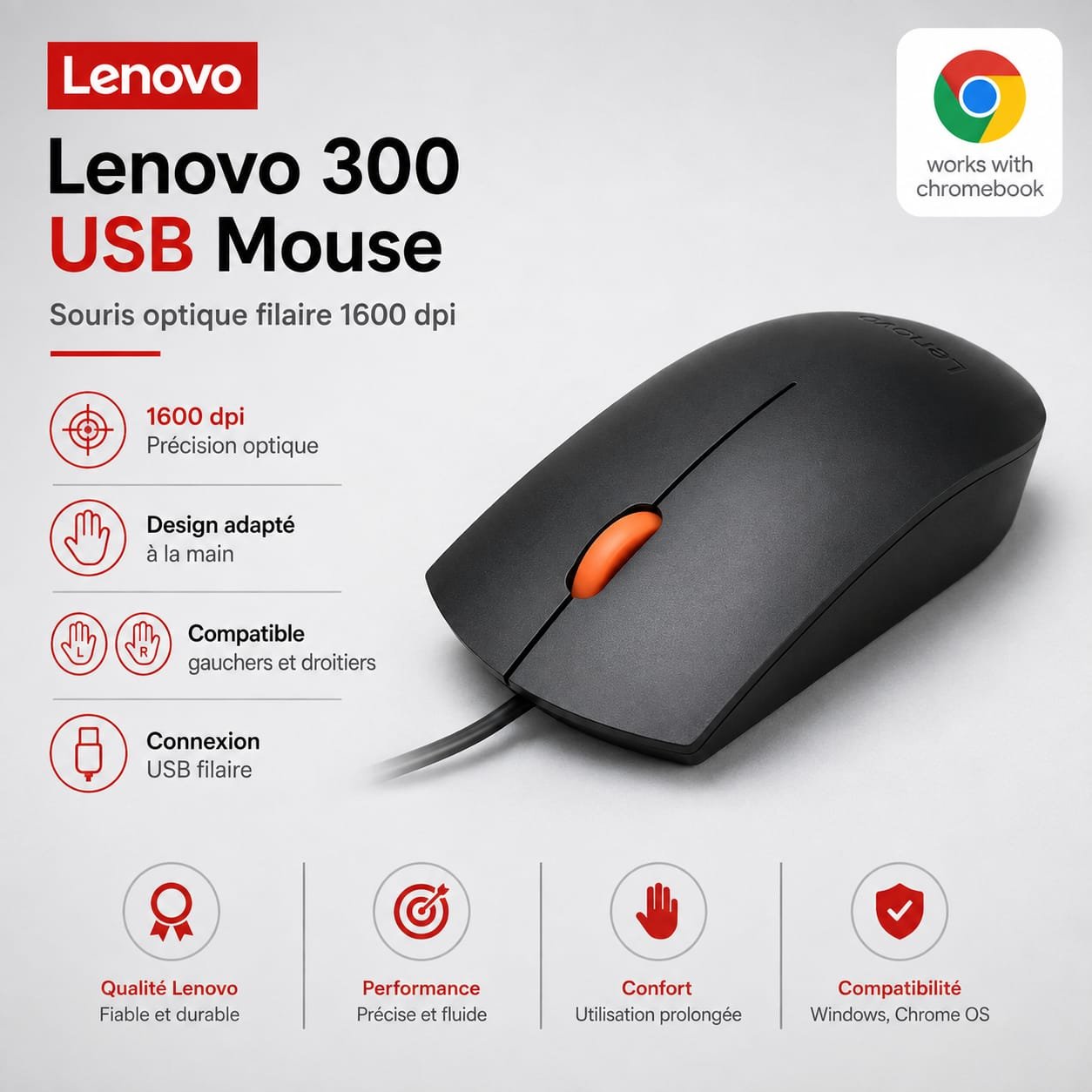 Souris Lenovo 300 USB Optique Filaire 1600 DPI