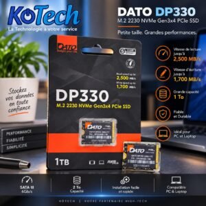 Disque SSD DATO DP330 1 To M.2 2230 NVMe Gen3x4 PCIe, 2500 Mo/s