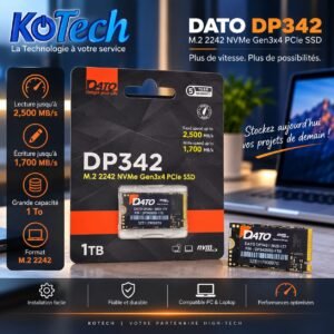 Disque SSD DATO DP342 1TB M.2 2242 NVMe PCIe Gen3x4, 2500 Mo/s